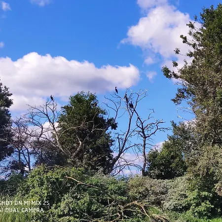 Sloneczny Nr 2 I 15 - Nad Samym Jeziorem W Pierwszej Linii بورسك