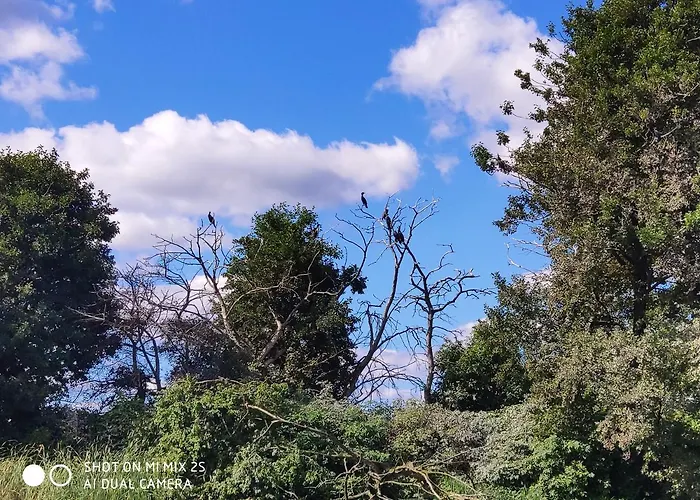 Sloneczny Nr 2 I 15 - Nad Samym Jeziorem W Pierwszej Linii Borsk